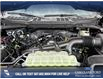 2025 Ford F-150 XLT (Stk: 25AT2748) in Airdrie - Image 10 of 25