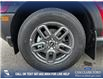2025 Ford Bronco Sport Big Bend (Stk: 25AS9274) in Airdrie - Image 6 of 25