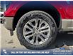 2025 Ford F-150 King Ranch (Stk: 25T4202) in Olds - Image 6 of 25