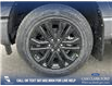 2025 Ford F-150 XLT (Stk: 25AT3765) in Airdrie - Image 6 of 25