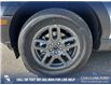 2025 Ford Bronco Sport Big Bend (Stk: 25AS1007) in Airdrie - Image 6 of 25