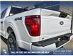 2025 Ford F-150 STX (Stk: 25T1057) in Olds - Image 11 of 25