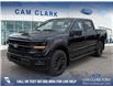 2025 Ford F-150 XLT (Stk: 25T7069) in Red Deer - Image 1 of 24