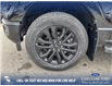 2025 Ford F-150 XLT (Stk: 25T7069) in Red Deer - Image 6 of 24