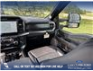 2025 Ford F-150 Lariat (Stk: 25T6824) in Red Deer - Image 24 of 24