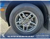 2025 Ford Bronco Sport Big Bend (Stk: 25AS1160) in Airdrie - Image 6 of 25