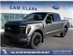 2025 Ford F-150 Platinum (Stk: 25T9638) in Red Deer - Image 1 of 24
