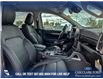 2025 Ford Ranger Lariat (Stk: 25AT7419) in Airdrie - Image 22 of 25