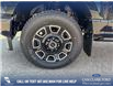 2025 Ford F-350 Platinum (Stk: 25T0899) in Red Deer - Image 6 of 24