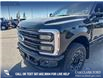2025 Ford F-350 Platinum (Stk: 25T0899) in Red Deer - Image 8 of 24