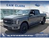 2025 Ford F-150 Lariat (Stk: 25T4477) in Red Deer - Image 1 of 24