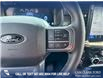 2025 Ford F-150 Lariat (Stk: 25T4477) in Red Deer - Image 15 of 24