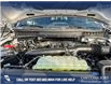 2025 Ford F-150 Tremor (Stk: 25T8394) in Red Deer - Image 10 of 24