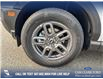 2025 Ford Bronco Sport Big Bend (Stk: 25S7864) in Red Deer - Image 6 of 24