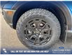 2025 Ford Bronco Sport Badlands (Stk: 25S7788) in Red Deer - Image 6 of 25