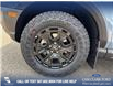 2025 Ford Bronco Sport Badlands (Stk: 25S8101) in Red Deer - Image 6 of 25