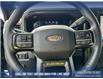 2025 Ford F-350 Platinum (Stk: 25AT5382) in Airdrie - Image 14 of 25