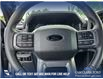 2025 Ford F-150 XLT (Stk: 25AT3724) in Airdrie - Image 14 of 25