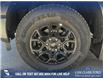 2025 Ford F-150 XLT (Stk: 25CT8954) in Canmore - Image 7 of 26