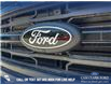 2025 Ford F-150 XLT (Stk: 25CT8954) in Canmore - Image 10 of 26