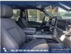 2025 Ford F-150 XLT (Stk: 25CT8954) in Canmore - Image 23 of 26