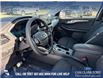 2025 Ford Escape Active (Stk: 25S8519) in Red Deer - Image 13 of 25