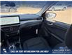 2025 Ford Escape Active (Stk: 25S8519) in Red Deer - Image 24 of 25