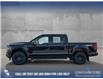 2025 Ford F-150 XLT (Stk: 25AT4575) in Airdrie - Image 3 of 25