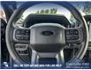 2025 Ford F-150 XLT (Stk: 25AT2920) in Airdrie - Image 14 of 25 2025 Ford F-150 XLT (Stk: 25AT2920) in Airdrie - Image 14 of 25