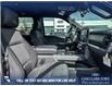 2025 Ford F-150 XLT (Stk: 25AT2920) in Airdrie - Image 22 of 25 2025 Ford F-150 XLT (Stk: 25AT2920) in Airdrie - Image 22 of 25