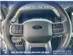 2025 Ford F-150 XLT (Stk: 25CT4971) in Canmore - Image 15 of 26 2025 Ford F-150 XLT (Stk: 25CT4971) in Canmore - Image 15 of 26