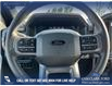 2025 Ford F-150 XLT (Stk: 25AT3720) in Airdrie - Image 14 of 25