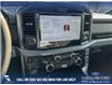 2025 Ford F-150 XLT (Stk: 25AT3720) in Airdrie - Image 19 of 25