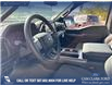 2025 Ford F-150 STX (Stk: 25T2598) in Red Deer - Image 12 of 24