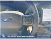 2025 Ford F-150 STX (Stk: 25T2598) in Red Deer - Image 15 of 24