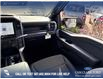 2025 Ford F-150 STX (Stk: 25T2598) in Red Deer - Image 24 of 24