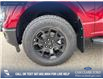 2025 Ford F-150 STX (Stk: 25T3233) in Red Deer - Image 6 of 24