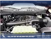 2025 Ford F-150 STX (Stk: 25T3233) in Red Deer - Image 8 of 24