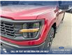 2025 Ford F-150 STX (Stk: 25T3233) in Red Deer - Image 10 of 24
