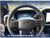 2025 Ford F-150 STX (Stk: 25T3233) in Red Deer - Image 13 of 24