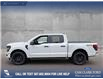 2025 Ford F-150 STX (Stk: 25T5132) in Red Deer - Image 3 of 24