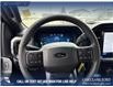 2025 Ford F-150 STX (Stk: 25T5132) in Red Deer - Image 14 of 24
