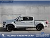 2025 Ford F-150 XLT (Stk: 25T8269) in Red Deer - Image 3 of 24