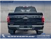 2025 Ford F-150 XLT (Stk: 25AT4262) in Airdrie - Image 5 of 25