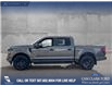 2025 Ford F-150 STX (Stk: 25T2750) in Red Deer - Image 3 of 24 2025 Ford F-150 STX (Stk: 25T2750) in Red Deer - Image 3 of 24