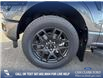 2025 Ford F-150 STX (Stk: 25T2750) in Red Deer - Image 6 of 24 2025 Ford F-150 STX (Stk: 25T2750) in Red Deer - Image 6 of 24