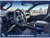 2025 Ford F-150 STX (Stk: 25T2750) in Red Deer - Image 12 of 24 2025 Ford F-150 STX (Stk: 25T2750) in Red Deer - Image 12 of 24
