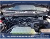 2025 Ford F-150 XLT (Stk: 25AT3372) in Airdrie - Image 10 of 25