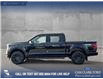 2025 Ford F-150 XLT (Stk: 25AT4499) in Airdrie - Image 3 of 25