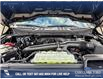 2025 Ford F-150 STX (Stk: 25T1278) in Red Deer - Image 10 of 24
